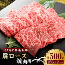 くまもと黒毛和牛 焼肉用 肩ロース 500g（250g×2pc）