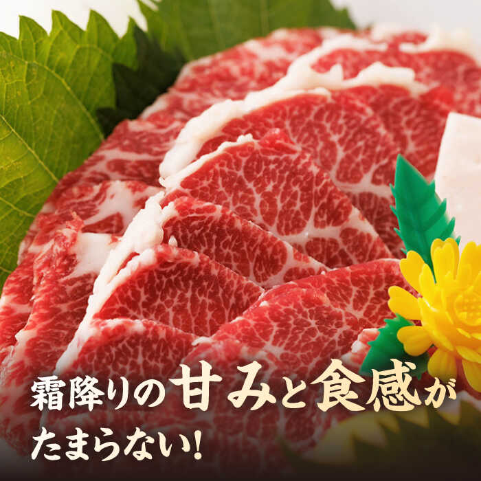 【ふるさと納税】【6回定期便】特選霜降り馬刺し（中トロ）計600g（6pc）＋タレ大【馬刺しの郷 民守】[ZBL071]