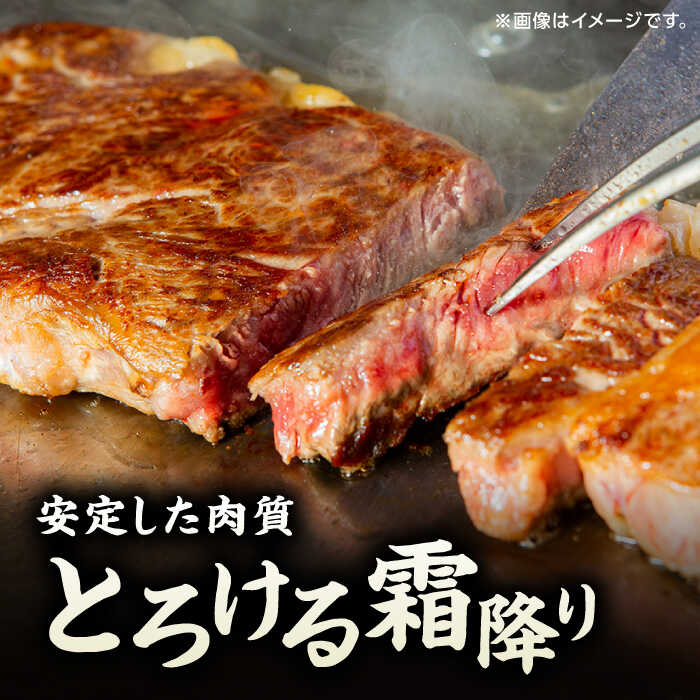 【ふるさと納税】【6回定期便】くまもと黒毛和牛 ステーキ食べ比べ ヒレステーキ サーロインステーキ【馬刺しの郷 民守】[ZBL085]