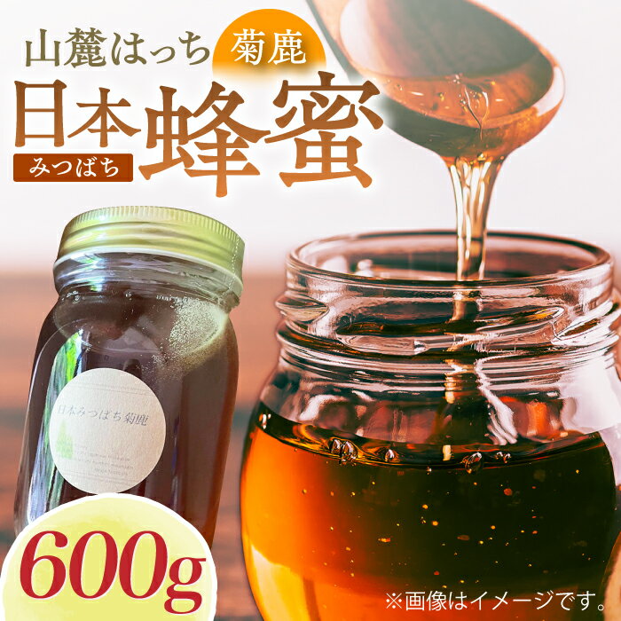 【ふるさと納税】日本みつばち菊鹿約600g【山麓はっち】[ZBM011] 蜂蜜 はちみつ ハチミツ 熊本県 特産品