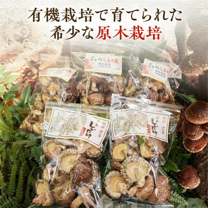 【ふるさと納税】【数量限定】 原木 栽培 干し 椎茸 セット 約460g【小春農園】[ZBN001]