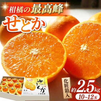 【先行予約】【数量限定】せとか みかん 約2.5kg 果物 化粧箱入り フルーツ ギフト【小春農園】[ZBN002]