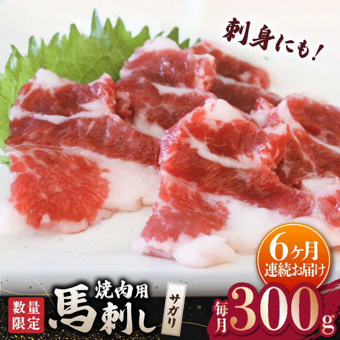 【ふるさと納税】【6回定期便】【数量限定】馬サガリ ひも肉 