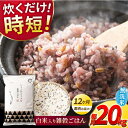 【ふるさと納税】《 新米先行予約 》【全12回定期便】2025年10月より順次発送 水研ぎ不要 雑穀ごはん 無洗米 20kg 【有限会社 農産ベストパートナー】...