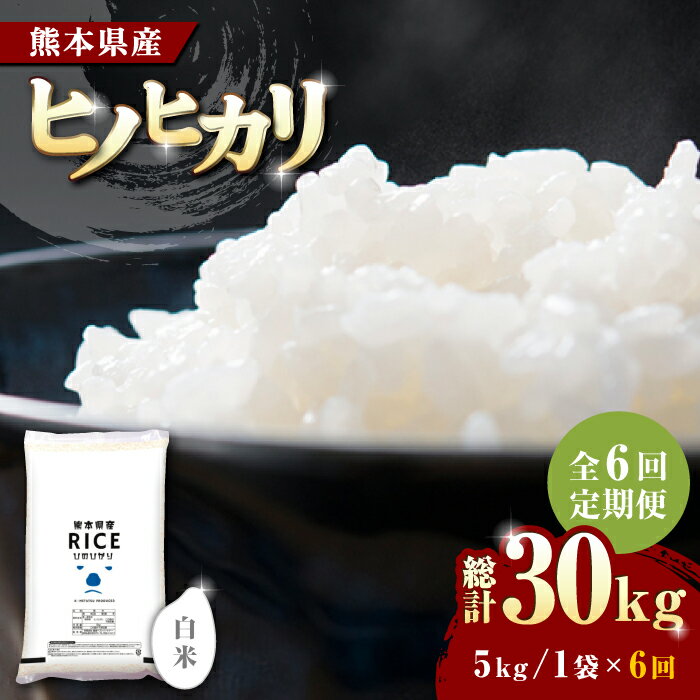 【ふるさと納税】【全6回定期便】 ヒノヒカリ 白米 5kg【有限会社 農産ベストパートナー】[ZBP004]