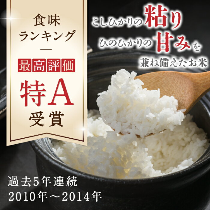 【ふるさと納税】【全6回定期便】森のくまさん 無洗米 5kg【有限会社 農産ベストパートナー】[ZBP037]