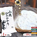 19位! 口コミ数「0件」評価「0」【極み】米せんべい（えび味、のり味、元祖塩味、玄米塩味、黒米塩味） & ヒノヒカリ【せんべい工房】[ZBQ009]