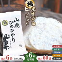 15位! 口コミ数「0件」評価「0」【6回定期便】【極み】米せんべい（えび味、のり味、元祖塩味、玄米塩味、黒米塩味） & ヒノヒカリ【せんべい工房】[ZBQ012]