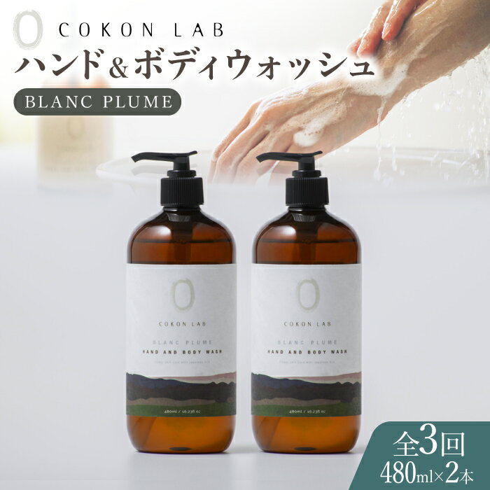 【ふるさと納税】【全3回定期便】COKONLAB ハンド＆ボディウォッシュ ブランプリュム480ml×2本【株式...