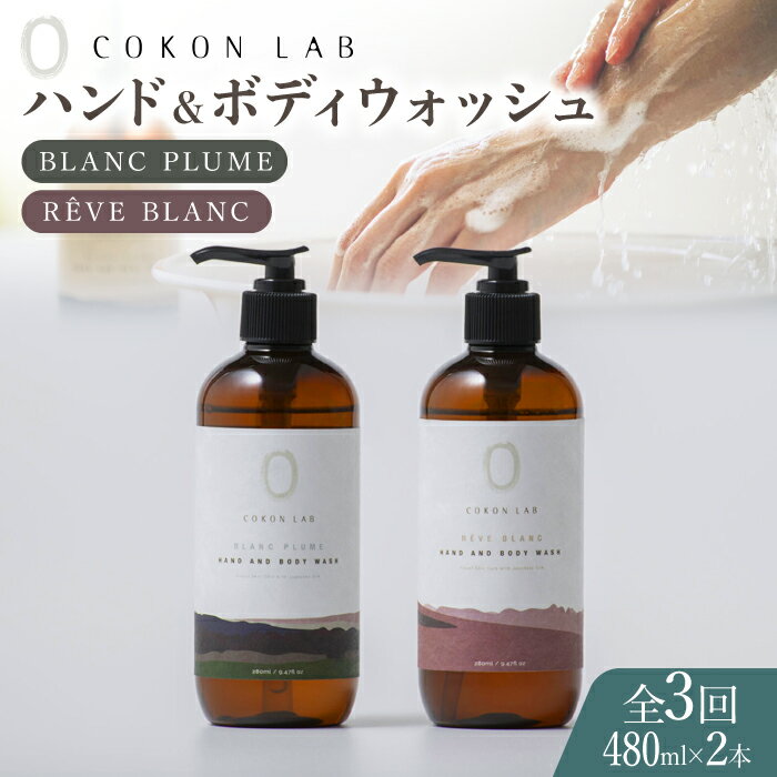 【ふるさと納税】【全3回定期便】COKONLAB ハンド＆ボディウォッシュ BR480ml 2本セット【株式会社 あ...