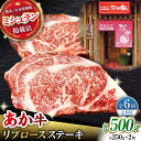 【ふるさと納税】【6回定期便】【数量限定】リブロースステーキ 500g(250g×2枚)【有限会社スイートサプライなかぞの 】[ZBV024]