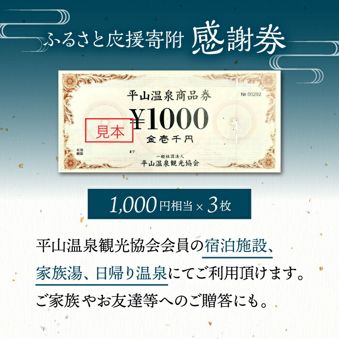 【ふるさと納税】平山温泉 観光協会 ふるさと応援寄附 感謝券 1,000円相当×3枚【一般社団法人 平山温泉観光協会】[ZBW002]