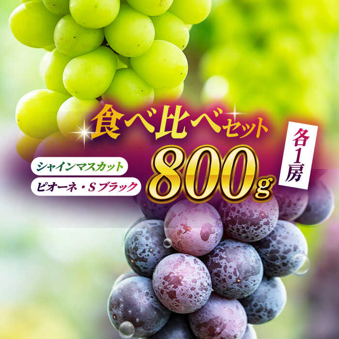 [先行予約][数量限定]食べ比べセット 800g(シャインマスカット & ピオーネ or Sブラック 各一房)[合同会社 社方園]