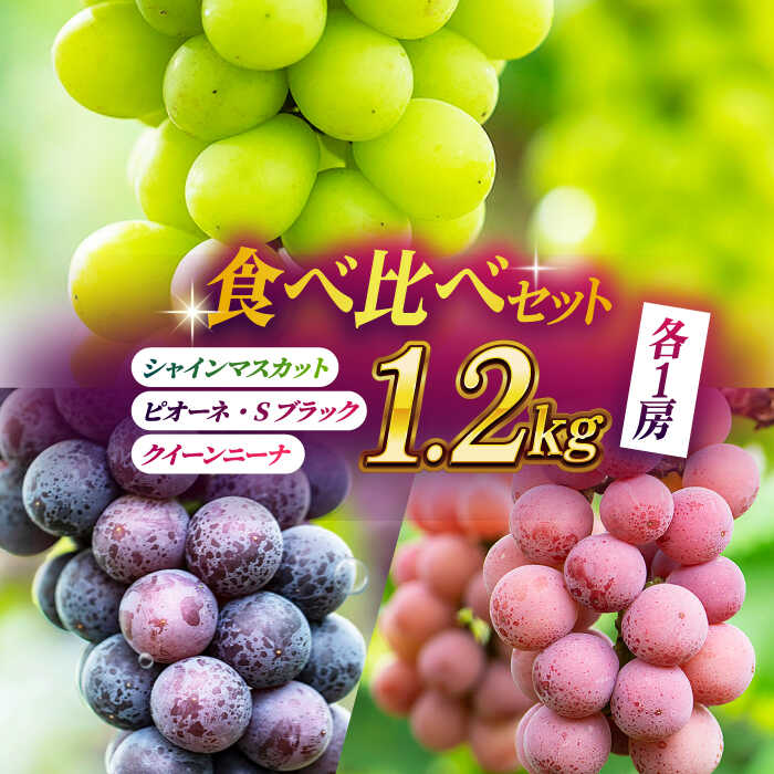 [先行予約][数量限定]ぶどうの宝石 3色 食べ比べセット 計1.2kg(3房)[合同会社 社方園]