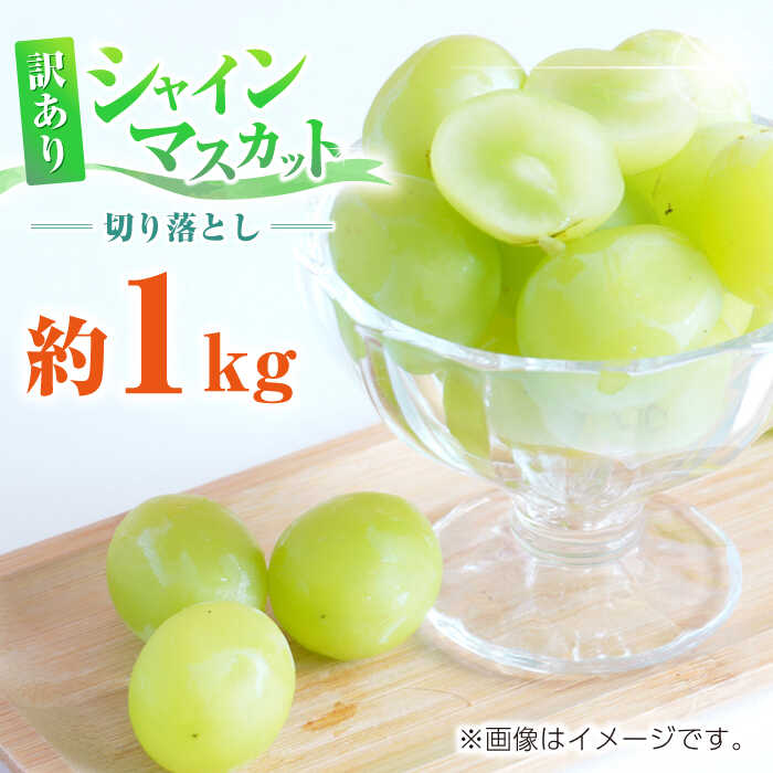 【ふるさと納税】【先行予約】訳あり シャインマスカット 切り落とし 約1kg 【合同会社 社方園】[ZBZ006]