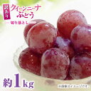 【ふるさと納税】【先行予約】訳あり クイーンニーナ ぶどう 切り落とし 約1kg ブドウ 葡萄 おすすめ 国産 熊本県 山鹿 果物 くだもの フルーツ 人気 ラ...