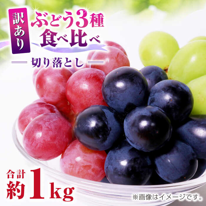 [先行予約]訳あり ぶどう3種 食べ比べ 切り落とし 計約1kg [合同会社 社方園]