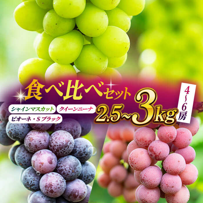 【ふるさと納税】【先行予約】【数量限定】ぶどうの宝石 3色 贅沢食べ比べセット 計2.5～3kg（4～6房）【合同会社 社方園】[ZBZ017]