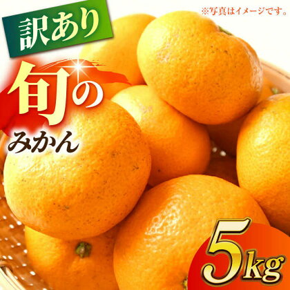 【先行予約】【数量限定】【訳あり】家庭用 みかん 約5kg 詰め合わせ 柑橘【合同会社 社方園】[ZBZ021]