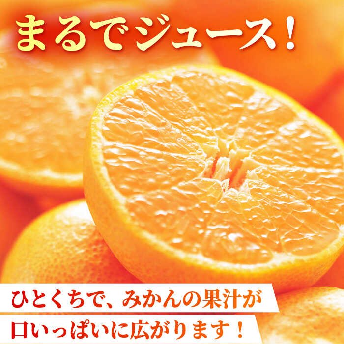 【ふるさと納税】【先行予約】【数量限定】【3回定期便】【訳あり】家庭用 みかん 約3kg 詰め合わせ 柑橘【合同会社 社方園】[ZBZ023]