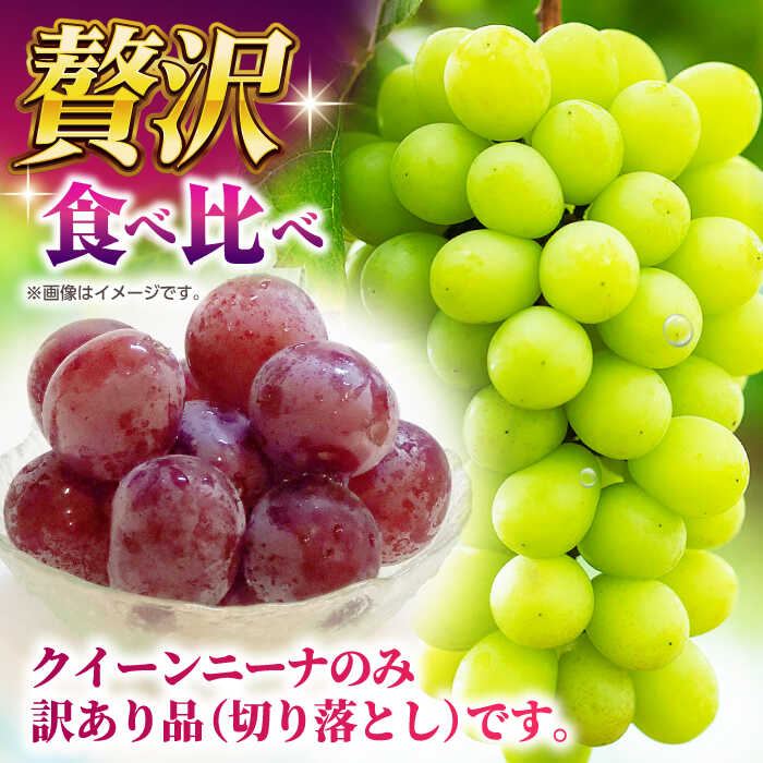 【ふるさと納税】【先行予約】【数量限定】【訳あり】食べ比べセット 約750g（シャインマスカット 1房 & クイーンニーナ 切り落とし 約300g）【合同会社 社方園】[ZBZ024]