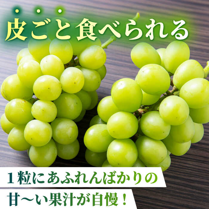 【ふるさと納税】【先行予約】【数量限定】【訳あり】シャインマスカット 約700g(1～2房)【合同会社 社方園】[ZBZ027]