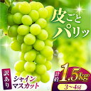 「皮ごと食べることができるシャインマスカット！」 大きな1粒にあふれんばかりの甘〜い果汁が自慢です！ 熊本県北部に位置する社方園はホタルの里として知られている名水百選の一ツ目水源の近くにあります。 また寒暖差のある山間にあり、ぶどう栽培に適...