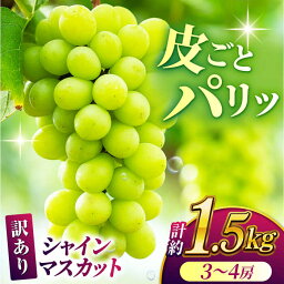 【ふるさと納税】【先行予約】【数量限定】【訳あり】シャインマスカット 約1.5kg(3～4房)【合同会社 社方園】[ZBZ030]