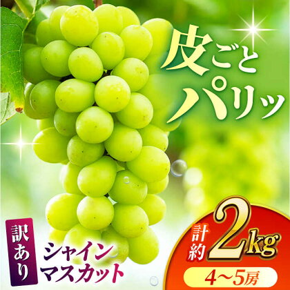 【先行予約】【数量限定】【訳あり】シャインマスカット 約2kg(4～5房)【合同会社 社方園】[ZBZ032]