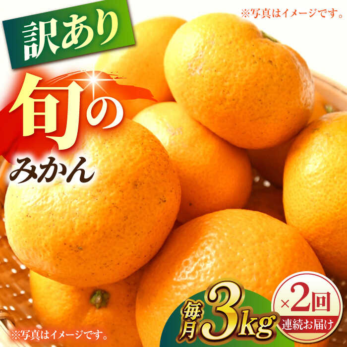 【ふるさと納税】【先行予約】【数量限定】【2回定期便】【訳あり】家庭用 みかん 約3kg 詰め合わせ 柑橘【合同会社 社方園】[ZBZ033]