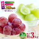 【ふるさと納税】【先行予約】 【3回定期便】 訳あり 毎月1種類ずつお届け! 紅白ぶどう2種 食べ比べ 切り落とし 約1kg 【合同会社 社方園】[ZBZ051...