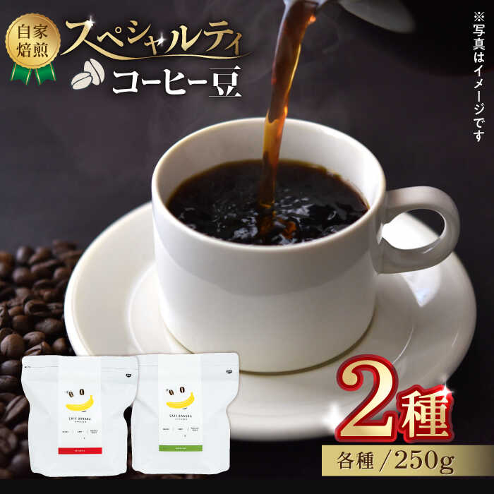 21位! 口コミ数「0件」評価「0」【豆のまま】自家焙煎 スペシャルティコーヒー 豆 （ 250g × 2種 ）約40杯分【かきやま果実】[ZCJ015]