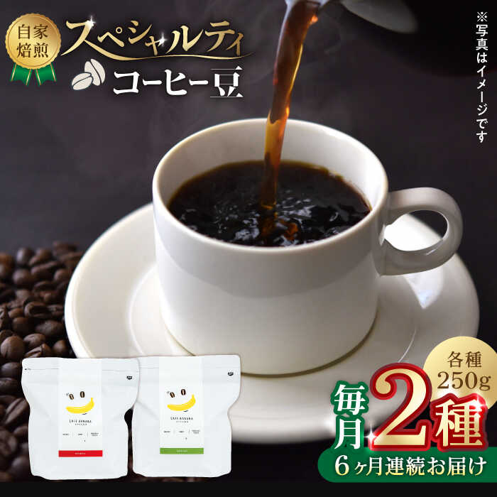 【ふるさと納税】【6回定期便】【豆のまま】自家焙煎 スペシャルティコーヒー 豆 （ 250g × 2種 ）約40杯分【かきやま果実】[ZCJ016]