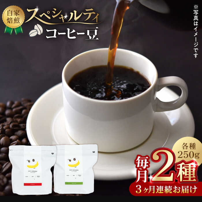 【ふるさと納税】【3回定期便】【豆のまま】自家焙煎 スペシャルティコーヒー 豆 （ 250g × 2種 ）約40杯分【かきやま果実】[ZCJ019]