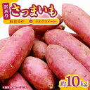 【ふるさと納税】【先行予約】【数量限定】さつまいも 紅はるか or シルクスイート 蜜芋 10kg【合同会社 福福堂】 ZCN001