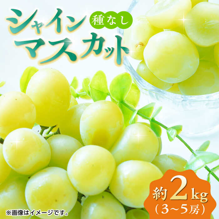 [先行予約][数量限定]シャインマスカット 約2kg 3〜5房 ぶどう 種なし[合同会社 福福堂]