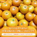 熊本県山鹿市の画像3