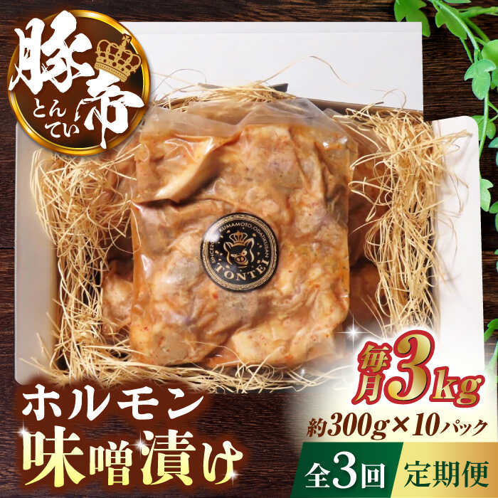 【3回定期便】豚帝 豚 ホルモン 味噌漬け 3kg (300g×10)【KRAZY MEAT(小田畜産)】[ZCP111]