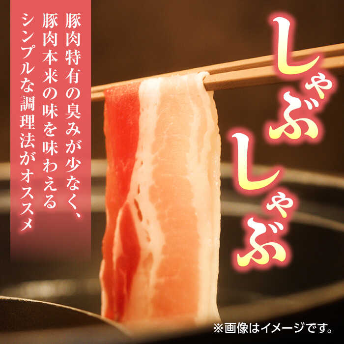 【ふるさと納税】【6回定期便】豚帝 豚しゃぶ セット 1.1kg【KRAZY MEAT(小田畜産)】[ZCP119]