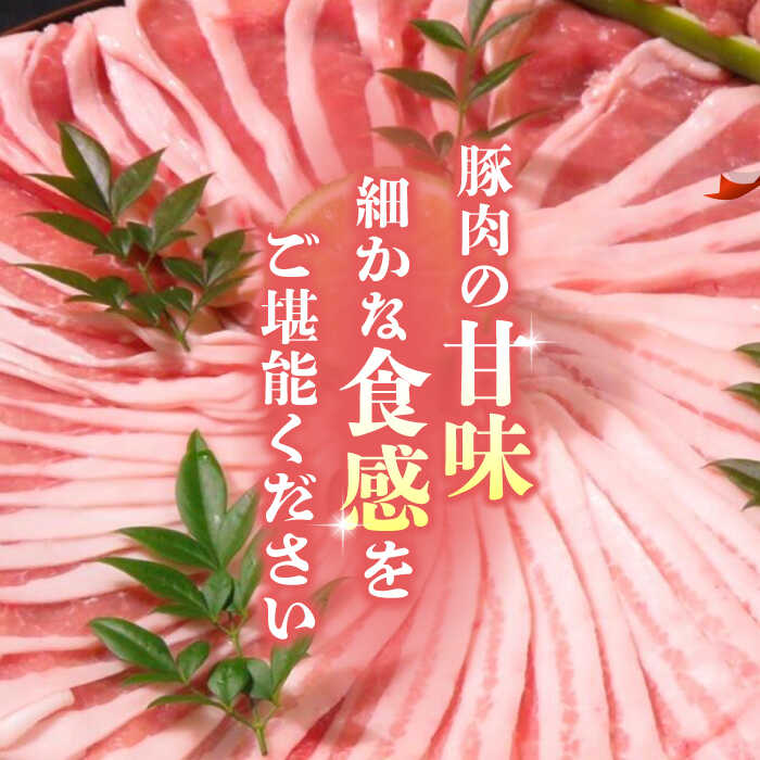 【ふるさと納税】【6回定期便】豚帝 ギフトセット 【KRAZY MEAT(小田畜産)】[ZCP120]