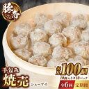 【ふるさと納税】【6回定期便】豚帝 手包み 焼売 100