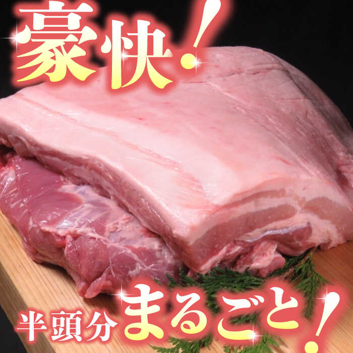 【ふるさと納税】【12回定期便】豚帝 豚バラ ブロック (半頭分)約4.5kg【KRAZY MEAT(小田畜産)】[ZCP137]