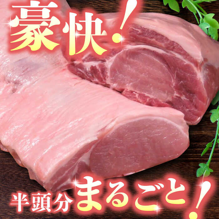 【ふるさと納税】【12回定期便】豚帝 リブ ロース & ロース ブロック (半頭分) 約5kg【KRAZY MEAT(小田畜産)】[ZCP138]