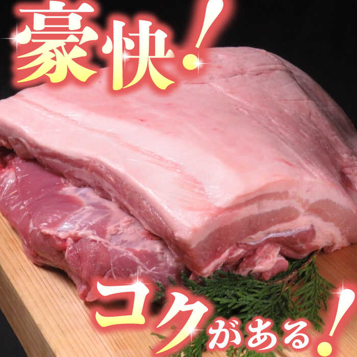 【ふるさと納税】【3回定期便】豚帝 豚バラ ブロック 約1kg【KRAZY MEAT(小田畜産)】[ZCP044]