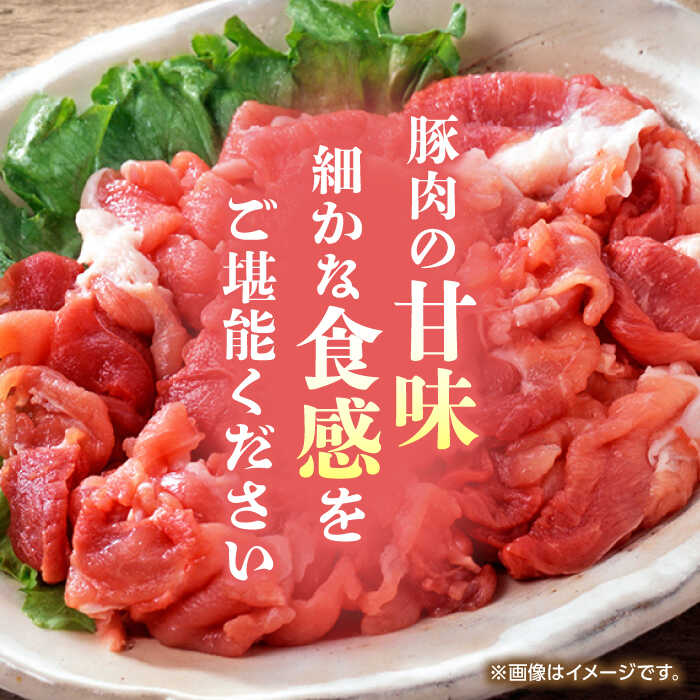 【ふるさと納税】【3回定期便】豚帝 豚モモ こま切れ 切り落とし 1.5kg（300g×5pc）【KRAZY MEAT(小田畜産)】[ZCP057]