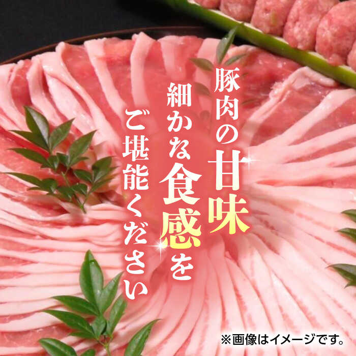 【ふるさと納税】【6回定期便】豚帝 豚ロース スライス 600g（300g×2pc）【KRAZY MEAT(小田畜産)】[ZCP076] 3