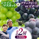 【朝採りの新鮮なぶどうをお届け】 松尾果樹園 では、朝一番にぶどうたちを確認し、完熟を見極めます。 たわわに育った最高のぶどうのみを朝採りし、その日のうちにお客様の元へ出荷いたします。 朝採りしたぶどうたちは、スーパーで売られているぶどうとは新鮮さが違います！ 【自然豊かな環境で育てる】 松尾果樹園 のぶどうは、熊本県山鹿市の自然豊かな土地で育てています。 石を含んだ水はけの良い土地は、必要以上に水を蓄えることもないので、ぶどうの木を根腐れや病気から守り、甘いぶどうに育ててくれます。 また、くまもと名水100選にも選ばれている「一ツ目水源」。 ぶどう栽培に最適な土地で作られた、他では味わえない芳醇な栄養が詰まった果汁溢れるぶどうたちをぜひご賞味ください。 【こだわりの土づくり】 植物が良く成長する上でポイントとなるのは「良い土」で育てられているかどうかです。 そして「良い土づくり」とは、元々の土壌の良さだけでなく、その植物に合った肥料や堆肥を与え、より植物が成長しやすい環境に整えることです。 松尾果樹園 では、ぶどうにとっての良い土づくりを常に考えて栽培をしています。そこでポイントになるのが「ふかふかの土」です。 土の中には、土を育ててくれる微生物がたくさんいます。この微生物たちが元気に生きられる様にすることが、良い土づくりに繋がります。 ぶどうたちは、松尾果樹園 がこだわり抜いて作りあげたこの土から栄養をたっぷり吸収し、大きく丸々としたぶどうに育ちます。 しあわせ運ぶ松尾果樹園のぶどう、ぜひ一度ご賞味くださいませ♪ 白黒セット ・シャインマスカット（1房）約400g ・ピオーネorブラックビート（1房）約400g ※ピオーネかブラックビートか、時期により一番おいしい旬の品種でお届けさせていただきます。 ※品種はお選びいただけませんのでご注意ください。 【賞味期限】お早めにお召し上がりください。 【原料原産地】 山鹿市 葡萄 ぶどう 果物 シャインマスカット ピオーネ ブラックビート フルーツ 国産 熊本県【朝採りの新鮮なぶどうをお届け】 松尾果樹園 では、朝一番にぶどうたちを確認し、完熟を見極めます。 たわわに育った最高のぶどうのみを朝採りし、その日のうちにお客様の元へ出荷いたします。 朝採りしたぶどうたちは、スーパーで売られているぶどうとは新鮮さが違います！ 【自然豊かな環境で育てる】 松尾果樹園 のぶどうは、熊本県山鹿市の自然豊かな土地で育てています。 石を含んだ水はけの良い土地は、必要以上に水を蓄えることもないので、ぶどうの木を根腐れや病気から守り、甘いぶどうに育ててくれます。 また、くまもと名水100選にも選ばれている「一ツ目水源」。 ぶどう栽培に最適な土地で作られた、他では味わえない芳醇な栄養が詰まった果汁溢れるぶどうたちをぜひご賞味ください。 【こだわりの土づくり】 植物が良く成長する上でポイントとなるのは「良い土」で育てられているかどうかです。 そして「良い土づくり」とは、元々の土壌の良さだけでなく、その植物に合った肥料や堆肥を与え、より植物が成長しやすい環境に整えることです。 松尾果樹園 では、ぶどうにとっての良い土づくりを常に考えて栽培をしています。そこでポイントになるのが「ふかふかの土」です。 土の中には、土を育ててくれる微生物がたくさんいます。この微生物たちが元気に生きられる様にすることが、良い土づくりに繋がります。 ぶどうたちは、松尾果樹園 がこだわり抜いて作りあげたこの土から栄養をたっぷり吸収し、大きく丸々としたぶどうに育ちます。 しあわせ運ぶ松尾果樹園のぶどう、ぜひ一度ご賞味くださいませ♪ 商品説明 名称大人気シャインマスカットピオーネ朝採り計2房800g【合同会社 光農園(松尾果樹園)】 内容量白黒セット ・シャインマスカット（1房）約400g ・ピオーネorブラックビート（1房）約400g ※ピオーネかブラックビートか、時期により一番おいしい旬の品種でお届けさせていただきます。 ※品種はお選びいただけませんのでご注意ください。 原料原産地山鹿市 賞味期限お早めにお召し上がりください。 アレルギー表示アレルギーなし食品 配送方法冷蔵 配送期日【令和6年】8月中旬〜順次発送致します。 ※天候によっては、予告なく配送期間が前後する可能性がございますのでご了承くださいませ。 提供事業者合同会社 光農園