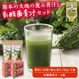 【ふるさと納税】熊本県産青汁と乳酸菌青汁セット 540g【九州薬品工業 株式会社 】[ZDC004]