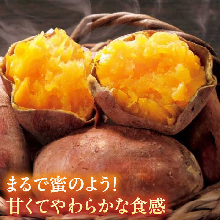 【ふるさと納税】ブランド さつまいも「灯籠蜜いも とろみついも」約5kg【株式会社 アグリファーム未来】[ZDN001]