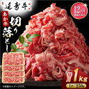 【ふるさと納税】【12回定期便】熊本県産 延寿牛 あか牛 切り落とし 約 250g×4P 牛肉 切り落とし 小分け 国産 和牛 ブランド牛 小分け 冷凍 肉 牛...